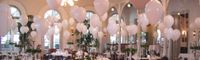 Hüpfburgverleih Ostfriesland | Hochzeit DJ, Hochzeitsfeier, Arik Entertainment, Dekoration, Ballons, Tische | Niedersachsen & Bremen